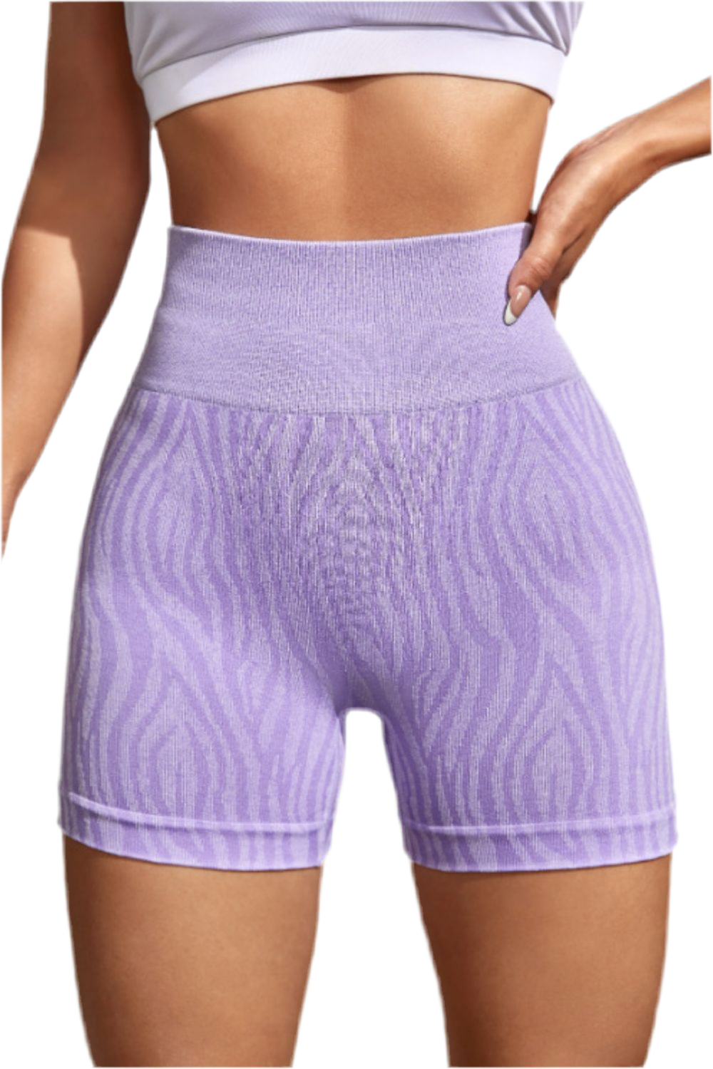 Eliza High Waisted Shorts (two color options)