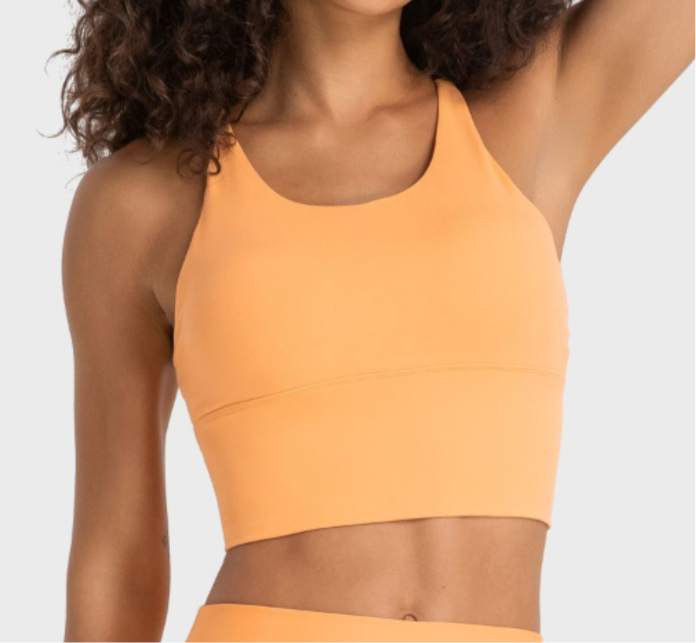 Jayde Crisscross Back Ladder Detail Sports Bra (multiple color options)