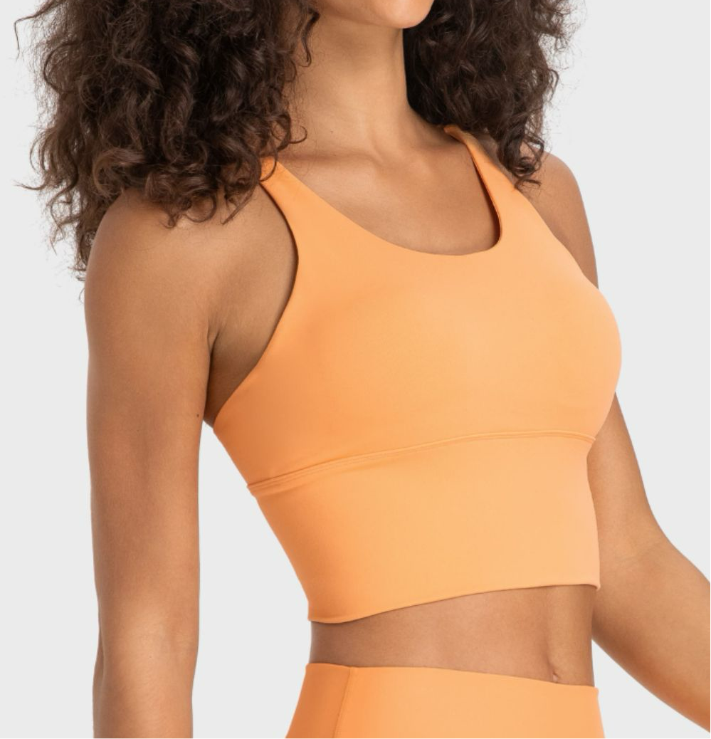 Jayde Crisscross Back Ladder Detail Sports Bra (multiple color options)