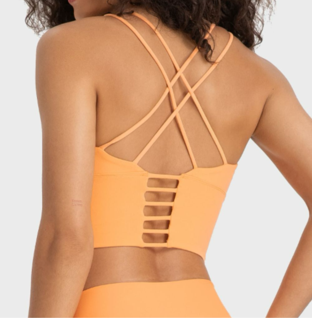 Jayde Crisscross Back Ladder Detail Sports Bra (multiple color options)