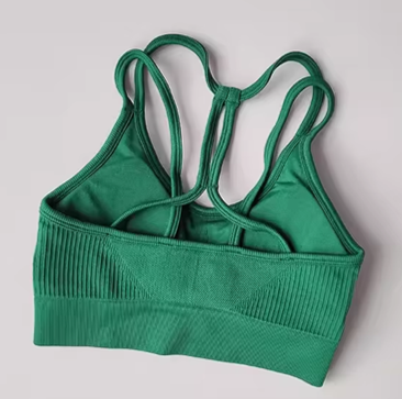 Halle Double Strap Crisscross Back Sport Bra