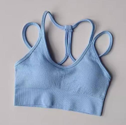 Halle Double Strap Crisscross Back Sport Bra