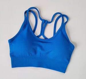 Halle Double Strap Crisscross Back Sport Bra