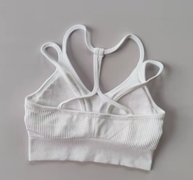 Halle Double Strap Crisscross Back Sport Bra