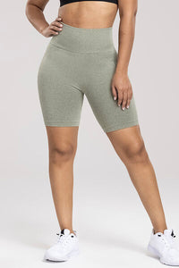 Paula Wide Waistband High Waist Active Shorts (color options)