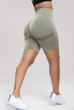 Paula Wide Waistband High Waist Active Shorts (color options)