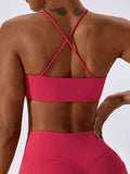 Ivy Crisscross Back Cropped Halter Neck Sports Bra (multiple color options)