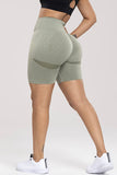 Paula Wide Waistband High Waist Active Shorts (color options)